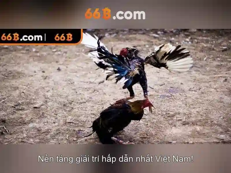 Ứng dụng tiềm năng và thách thức