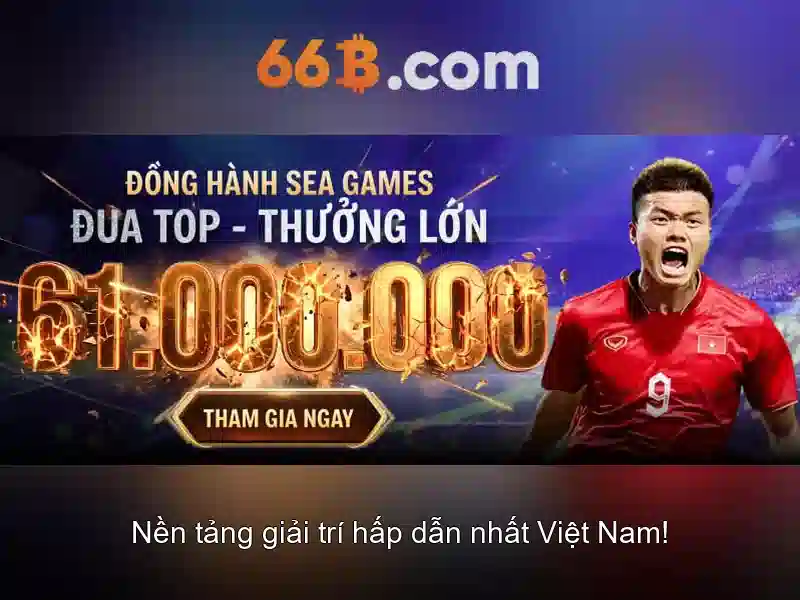 Đánh giá người dùng và phản hồi