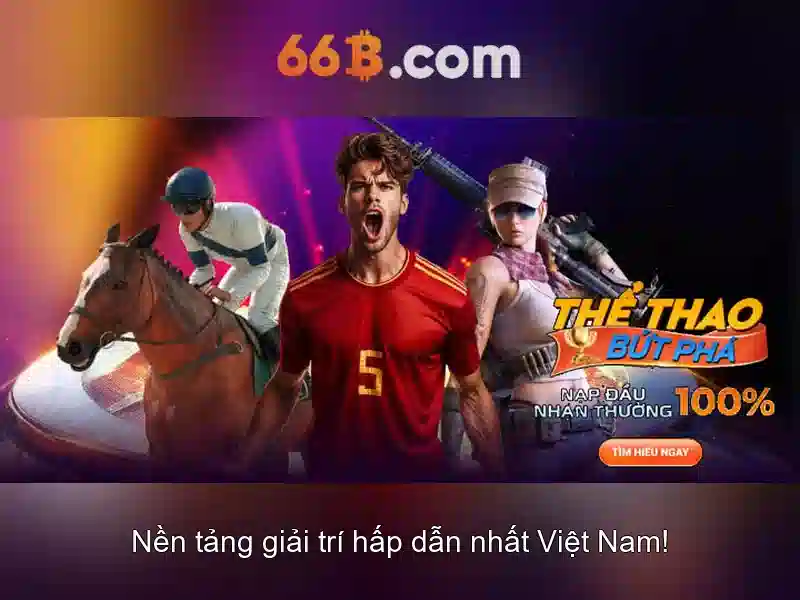 66B là gì?