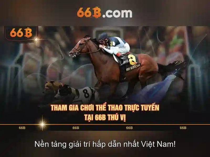 Khám phá cấu trúc 66b trong mã số