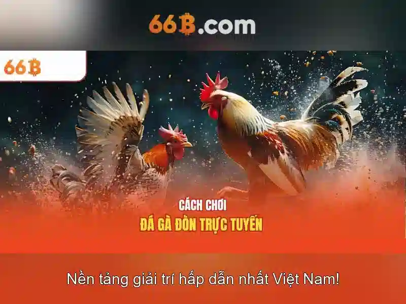 Kiến trúc và tham số