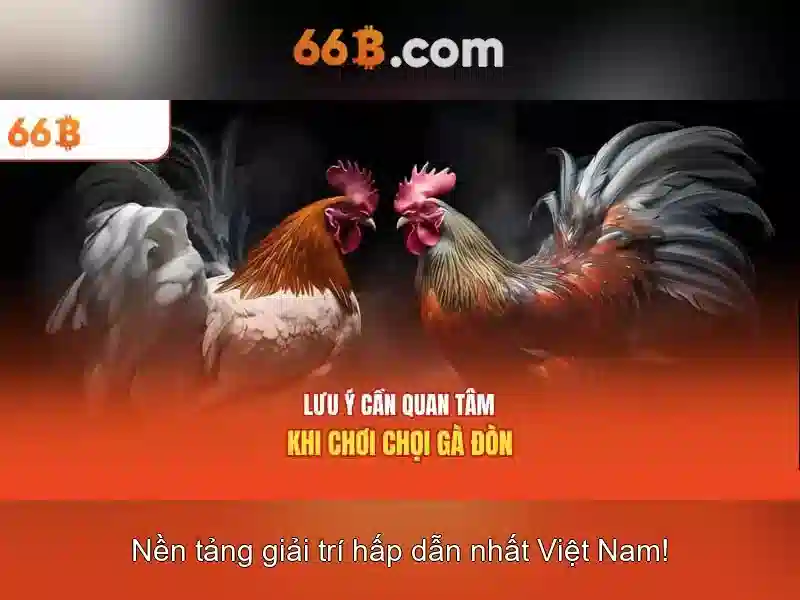 Kiến trúc và tham số