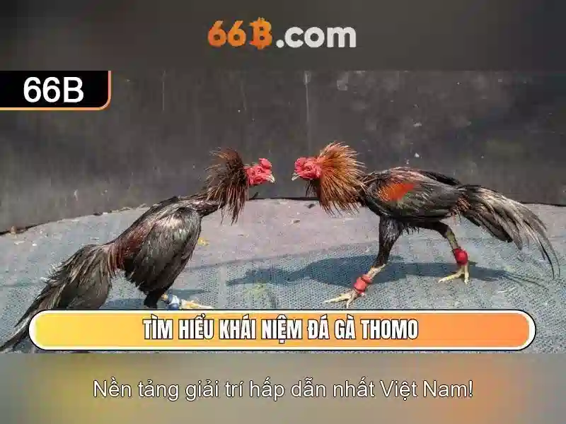 66B: Mô hình ngôn ngữ 66 tỷ tham số và những ảnh hưởng