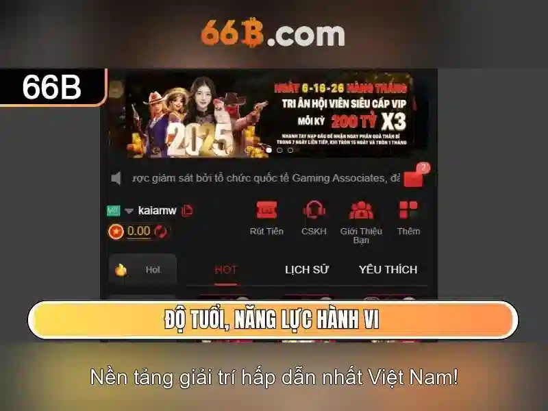 Khái niệm cơ bản về 66b
