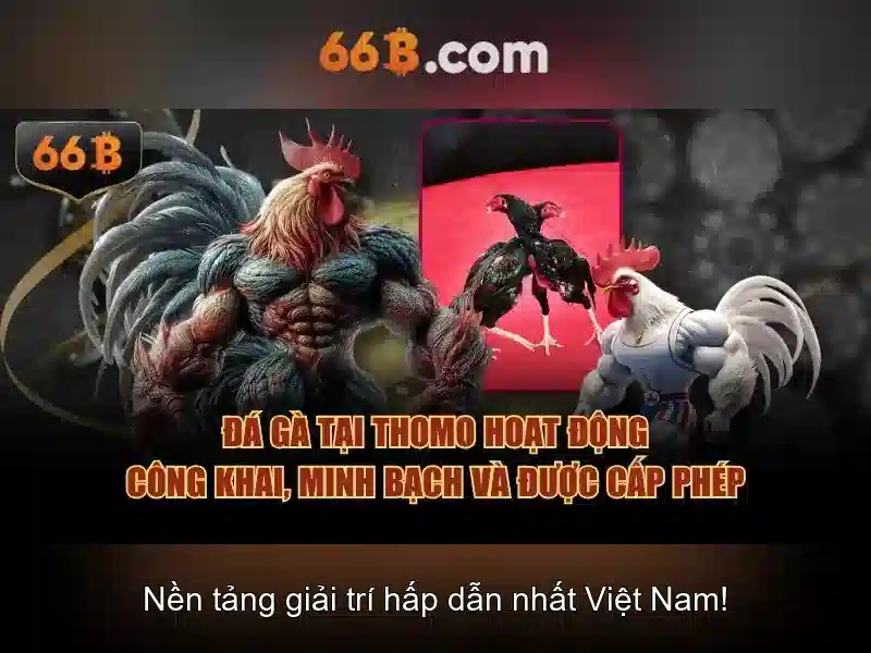 Kiến trúc và kích thước