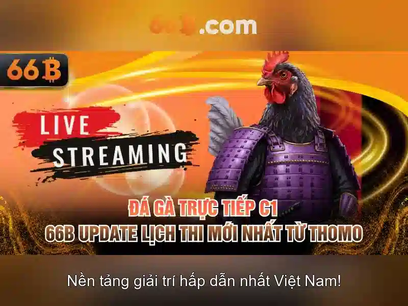 66b: khái niệm, kích thước và ứng dụng