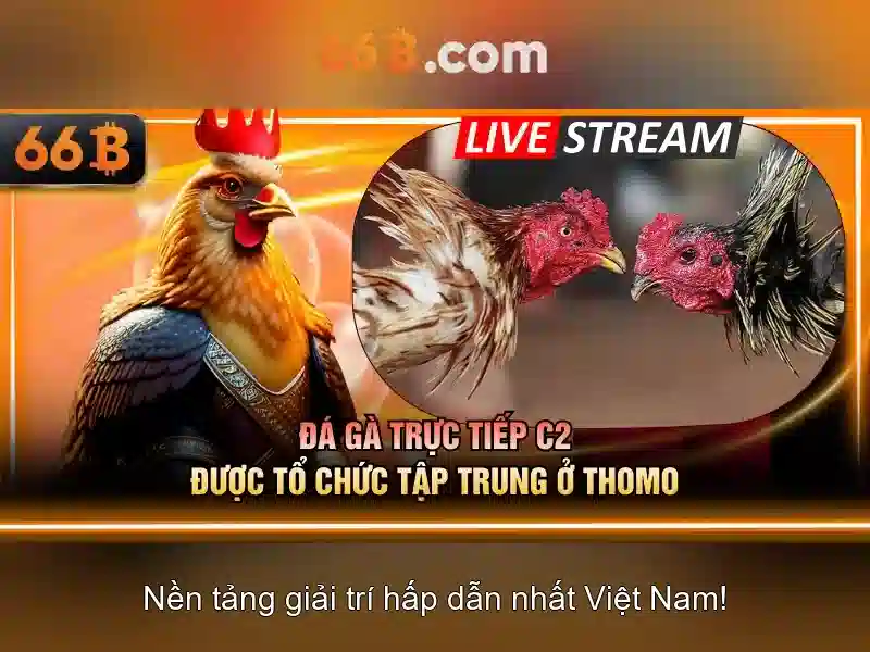 Về 66b: một mô hình ngôn ngữ lớn có 66 tỷ tham số