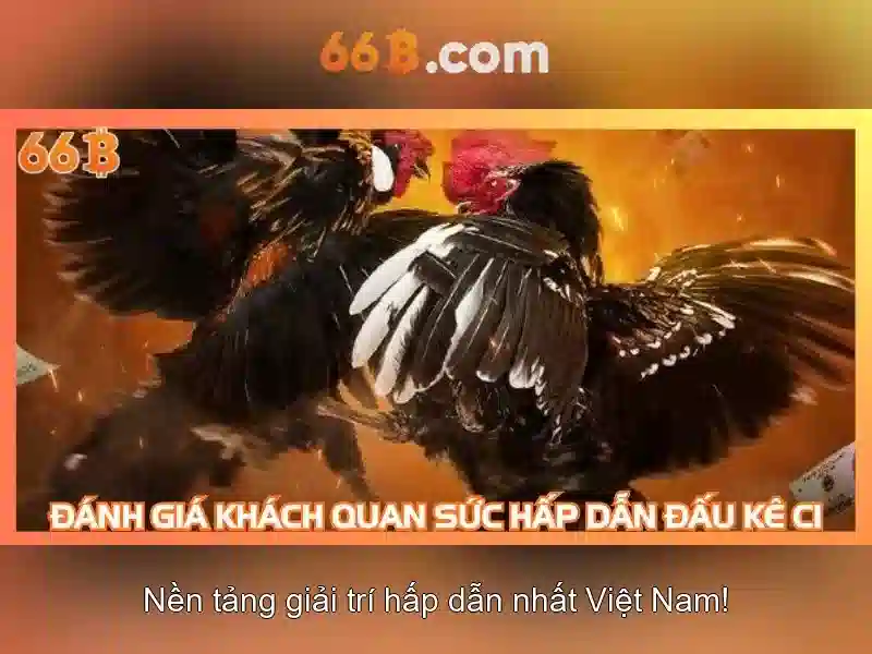 Mô hình 66B: Tổng quan, tiềm năng và thách thức