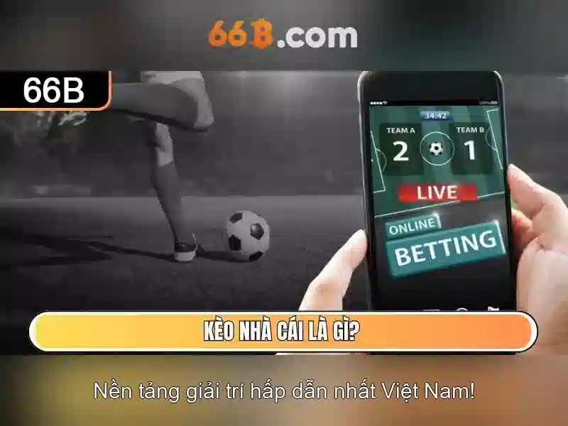 Kiến trúc và tham số của 66B