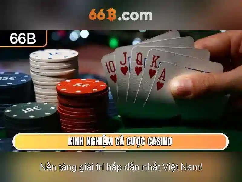 66b nguyễn si sách – hành trình kết nối tri thức và đổi mới