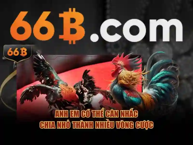 66b: một mô hình ngôn ngữ lớn và hành trình của nó