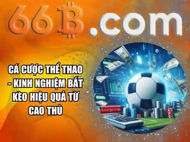 Giới thiệu về 66B