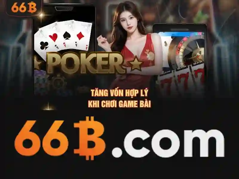 66b: một cái nhìn tổng quan
