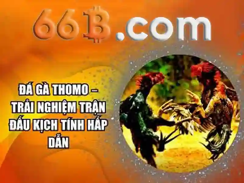 66B: Mô hình ngôn ngữ 66 tỷ tham số và tác động của nó