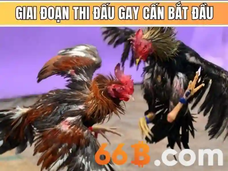 Kiến trúc và tham số của 66B