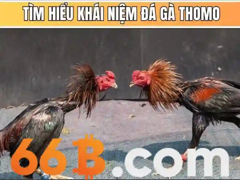 Kiến trúc và cách hoạt động