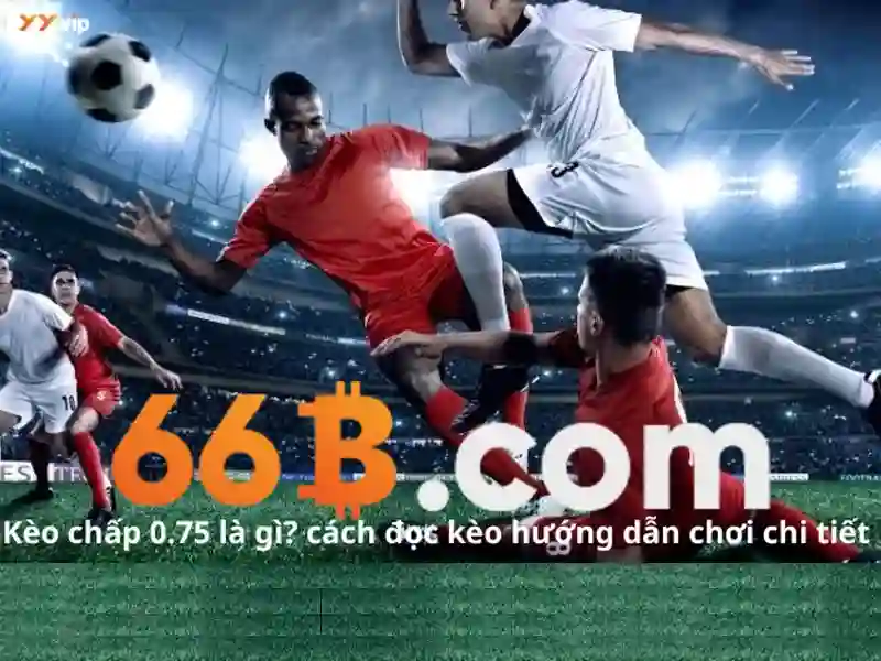 Những thách thức và lưu ý