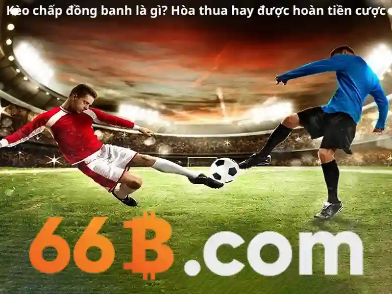 66B: Khái quát và ứng dụng