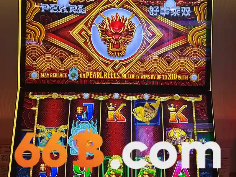 art 66b: hành trình khám phá ngõ 66b triều khúc