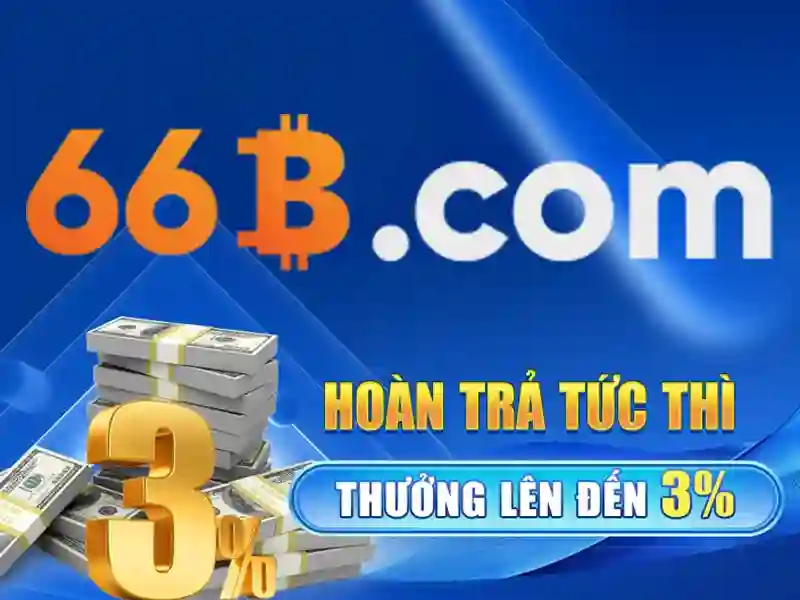Trải nghiệm người dùng và phản hồi