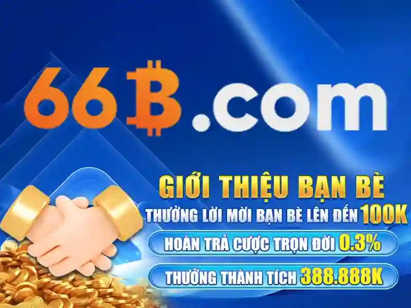 66b: một khái niệm và ảnh hưởng