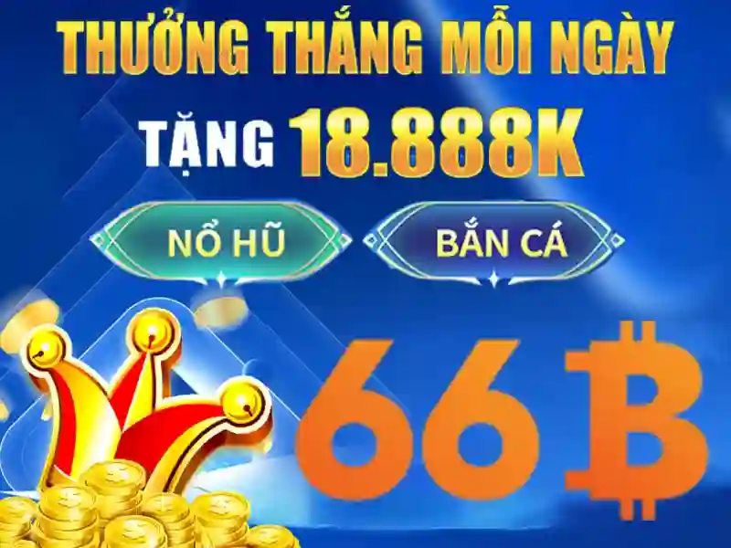 Hiệu suất và tối ưu hóa