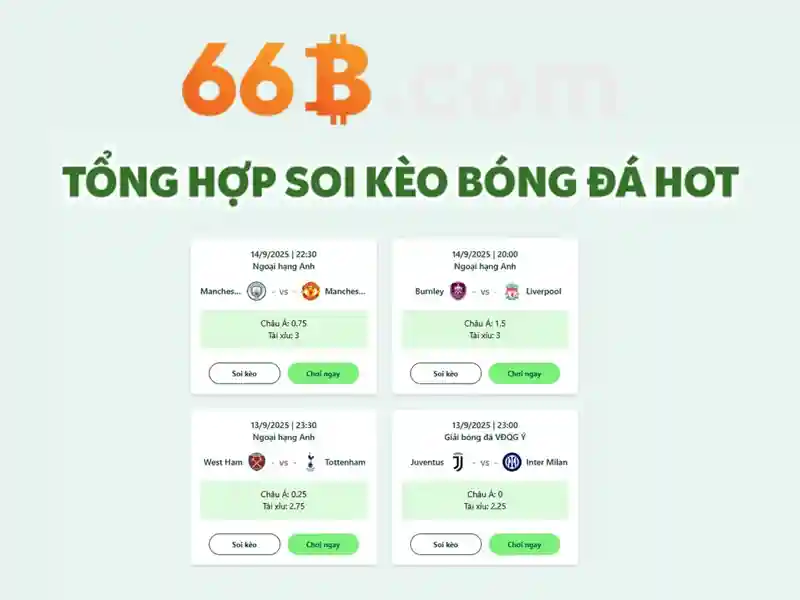Giới thiệu về 66b