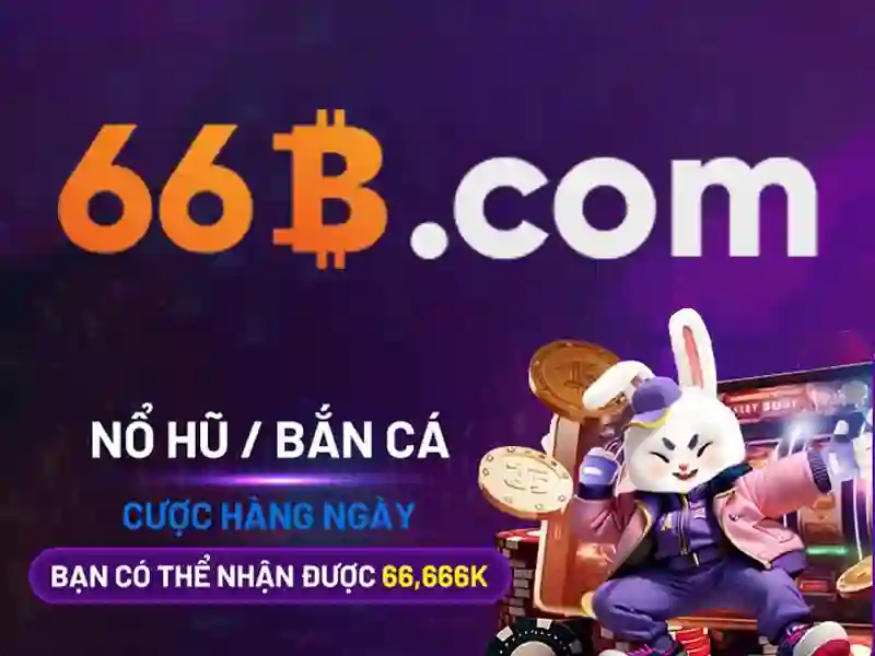 66b con – Khám phá giá trị và trải nghiệm tại Hà Nội